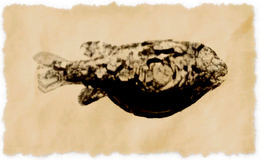 File:Striped fugu.png