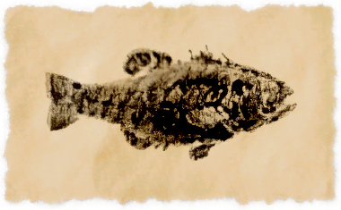 File:Glaring perch.png