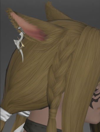 File:The Forgiven's Earrings of Aiming.png