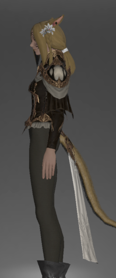 File:Augmented Lunar Envoy's Jacket of Fending side.png