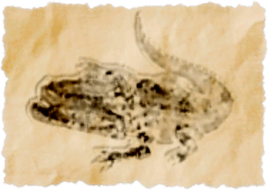 File:Thavnairian caiman.png