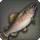 Cherry trout icon1.png