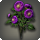 Purple dahlias icon1.png
