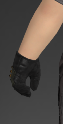 File:Light-heavy Gloves of AIming 2.png