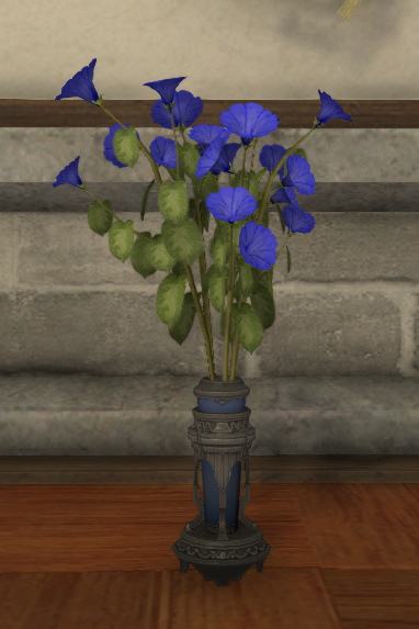 File:Blue Morning Glories.png