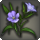 Bright flax icon1.png