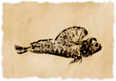 File:Hoppfish.png