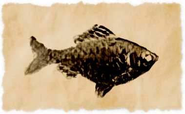 File:Ku'uxage bitterling.png