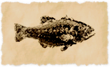 File:Nhaama's boon.png