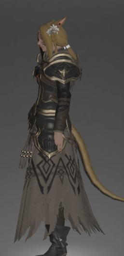 File:The Forgiven's Armor of Fending side.png