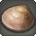 Flagon clam icon1.png