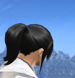 Practical Ponytails hair2.png