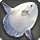 Silken sunfish icon1.png