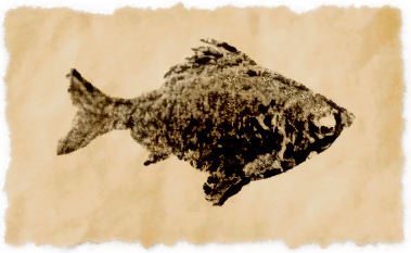 File:Velodyna carp.png