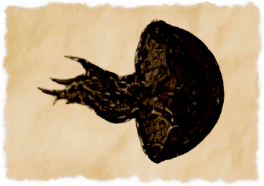 File:Ocean cloud.png