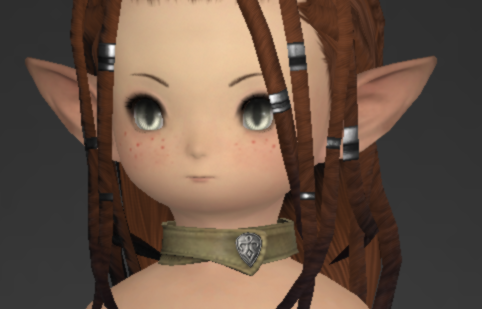 File:Raptorskin Choker.png