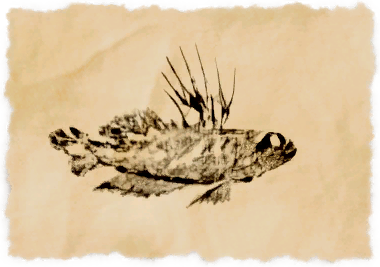 File:Yat goby.png