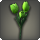 Green tulips icon1.png