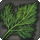 Mist dill icon1.png