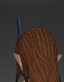 File:Br'aaxskin Headband of Healing 2.png