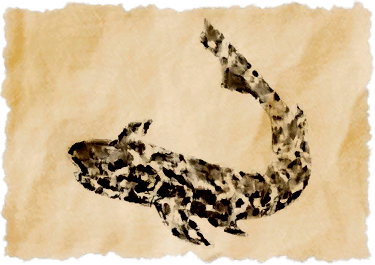 File:Chain shark.png