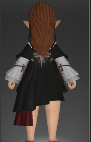 File:Coat of the Lost Thief 2.png