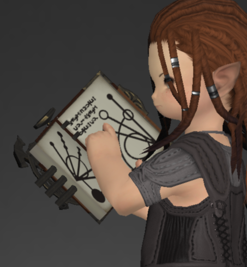 File:Gyuki Leather Grimoire 2.png