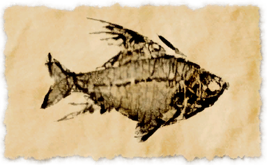 File:Skeletonfish.png