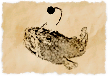 File:Crimson monkfish.png