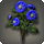 Blue dahlias icon1.png