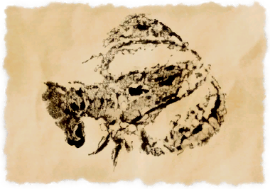 File:Dawn crayfish.png