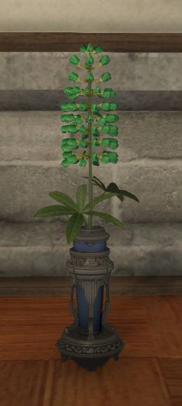 File:Green Lupins.png