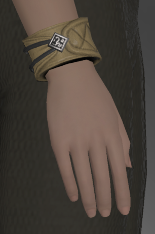 File:Nabaath Wristband of Fending side.png
