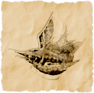 File:Blue marlin.png