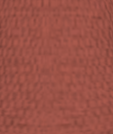 File:Coral Pink.png
