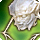 Disembodied head icon1.png