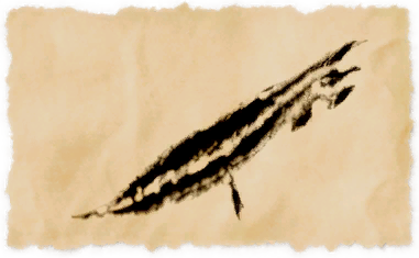 File:Jointed razorfish.png