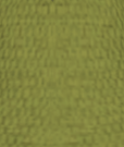File:Lime Green1.png