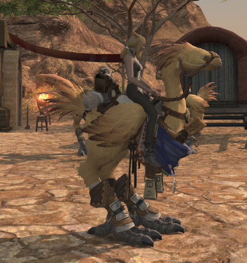 File:Wayfarer's Barding right side.png