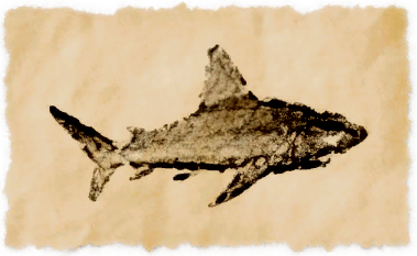 File:Tarnished shark.png