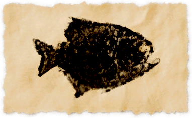 File:Diamond pipira.png