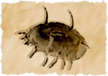 File:Protomyke 987.png