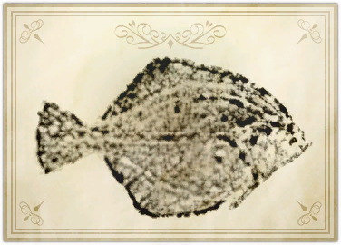 File:Oschon's print.png