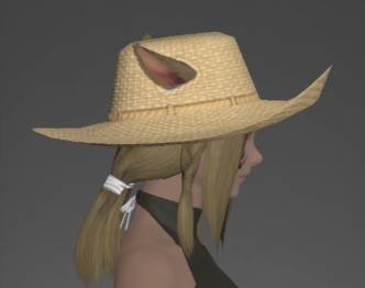 Stablemaid's Hat right side.png