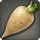 Curiel root icon1.png