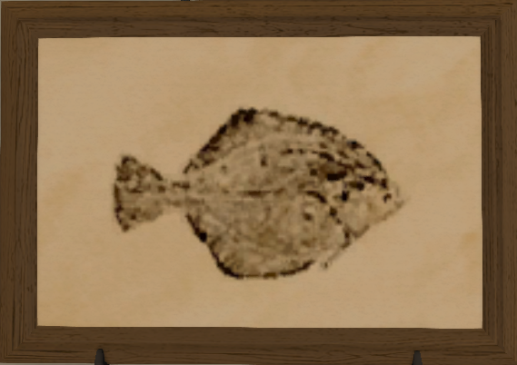 File:Glass Flounder print.png