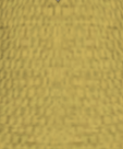 File:Cream Yellow.png