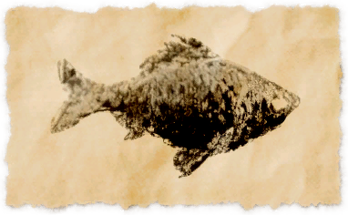 File:Laxan carp.png