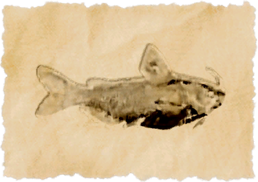 File:Wandering starscale.png