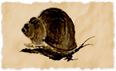 File:Toffee snail.png